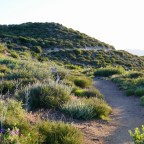 Tag 2 bis 5 – Hauser Creek bis Julian