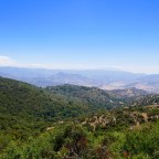 Tag 38 bis 45 – Tehachapi bis Kennedy Meadows